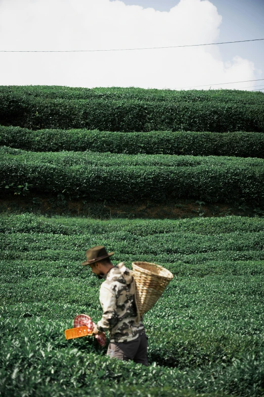 a man in the field with a straw hat