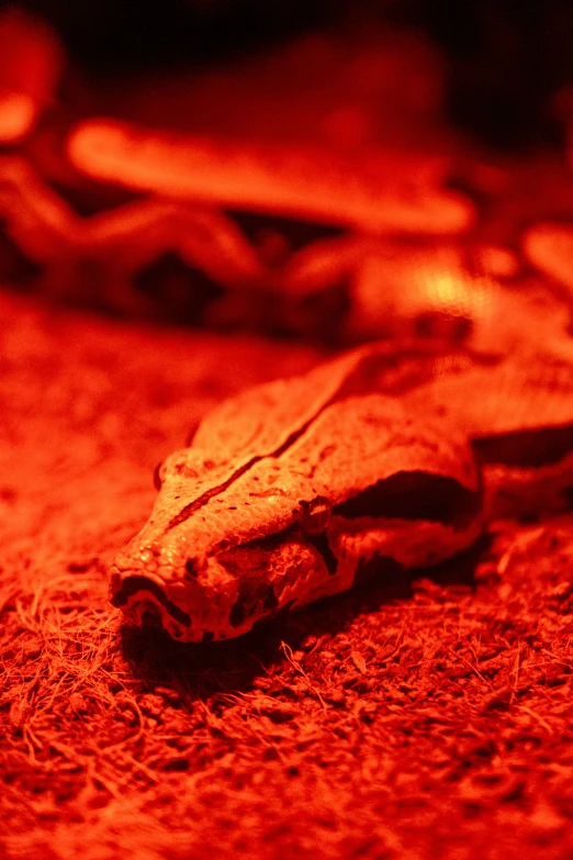 a candle is glowing red, in the middle of a room