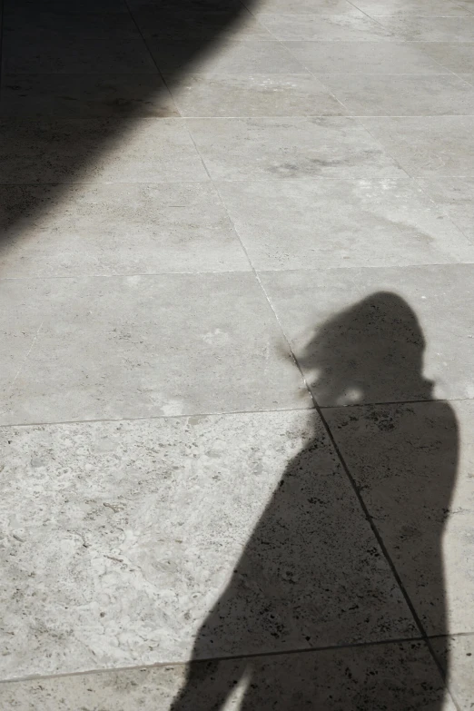 shadow on the ground of a person holding a skateboard