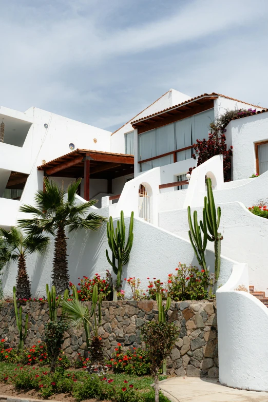 a white building with several cactuses near it