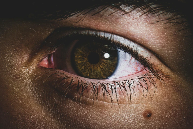 an eye with yellow and brown highlights looking straight into the camera