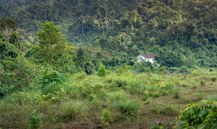 a house sits in the distance on a small hill