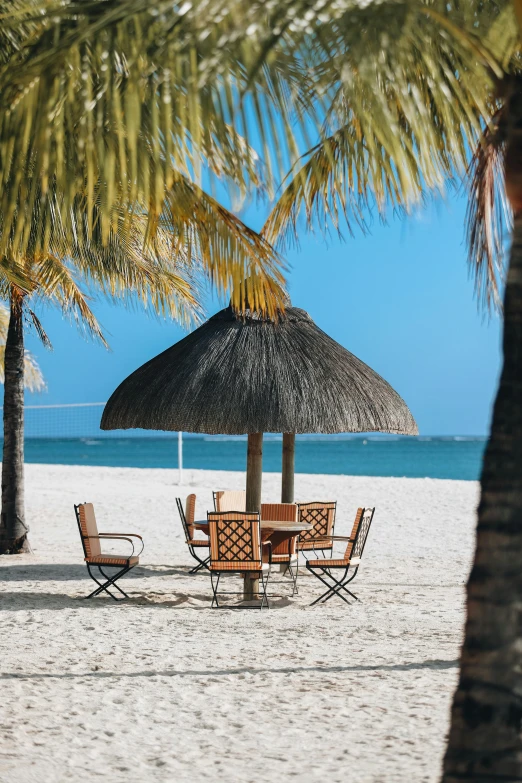 lounge chairs and thatched umbrellas on the beach