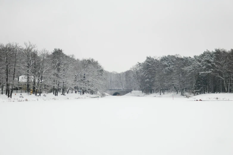 a winter scene of a snow covered road and trees