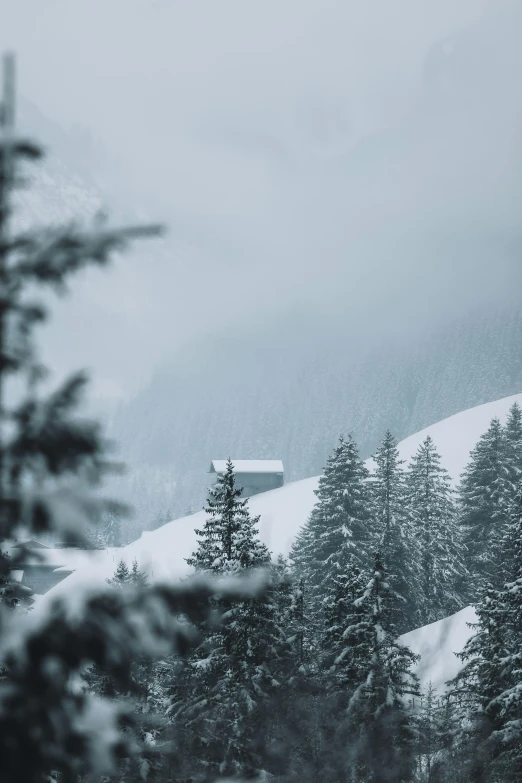 a mountain covered in lots of snow surrounded by trees