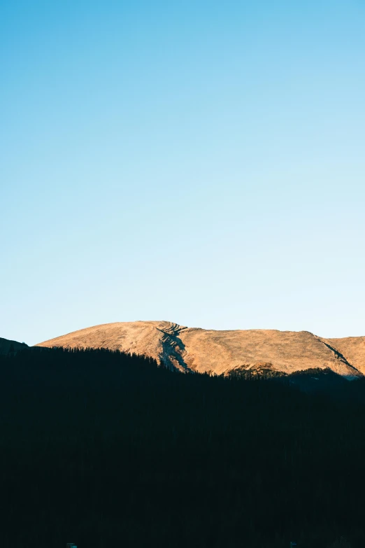 a mountain side at sunset with a bird perched on top