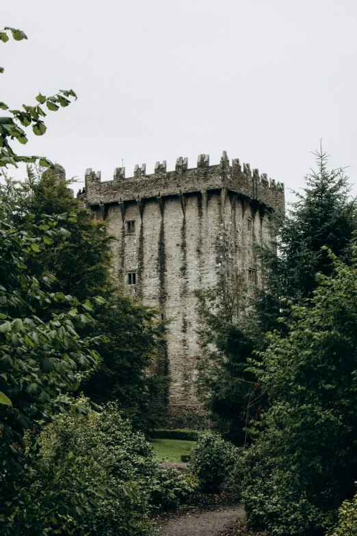 a stone tower next to trees on a gray cloudy day