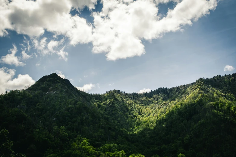 the view of the tops of mountains from below