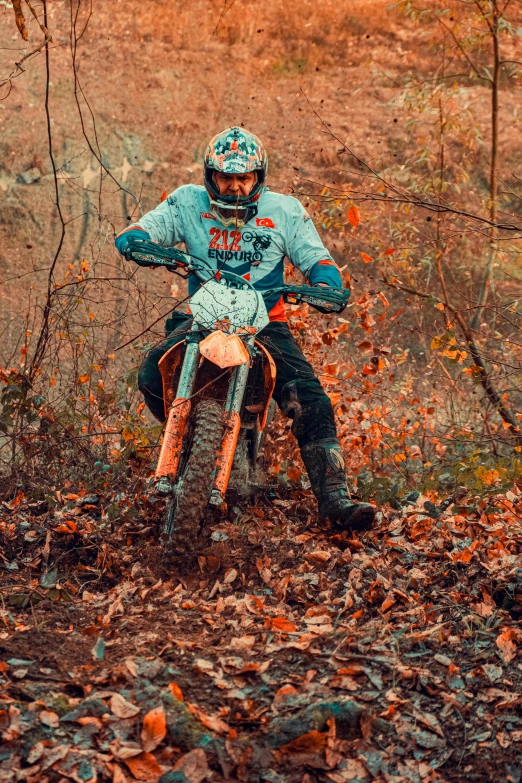 a person on a dirt bike is riding through leaves