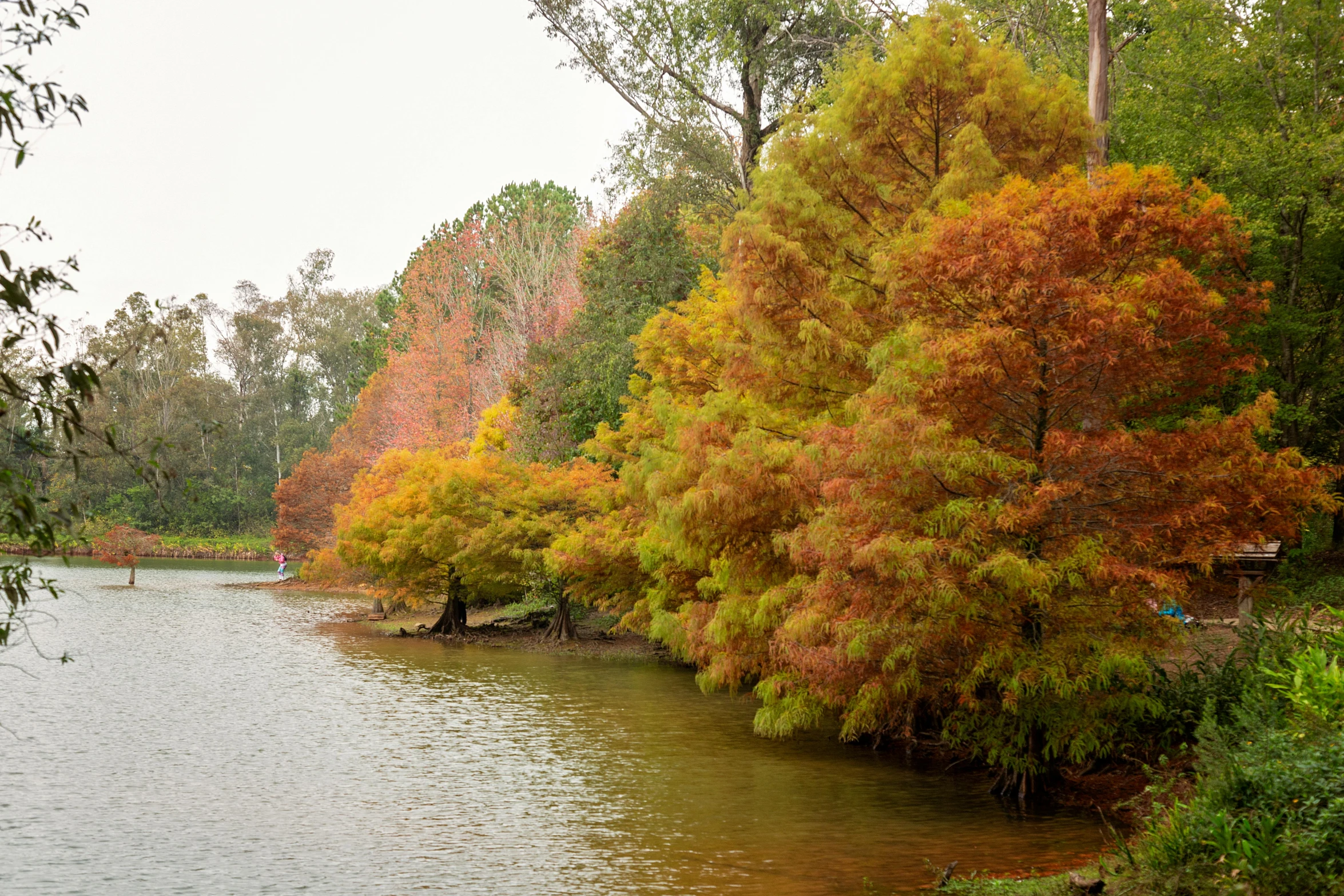 colorful foliage on trees and water surround a lake