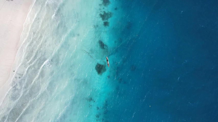 two surfers are in the ocean, one is riding the waves