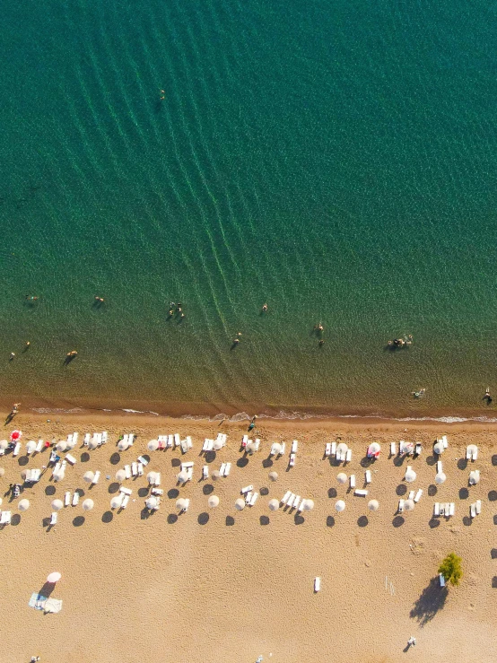 an aerial view of an ocean beach with many umbrellas