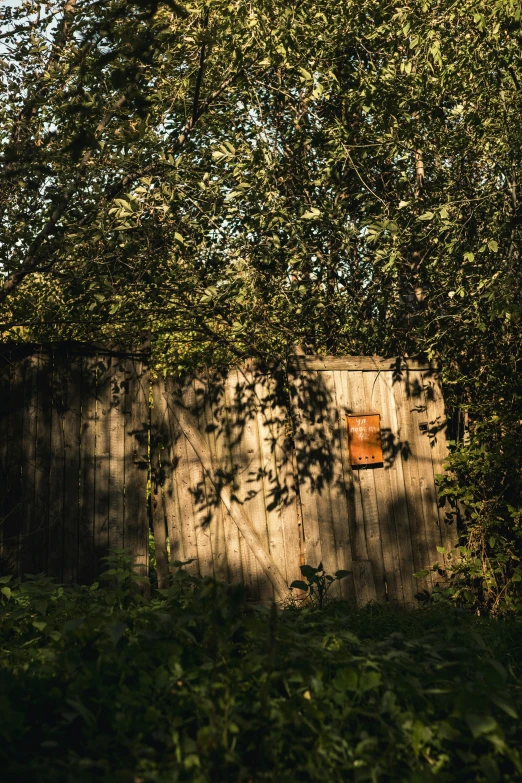 a picture of a gate surrounded by trees and foliage