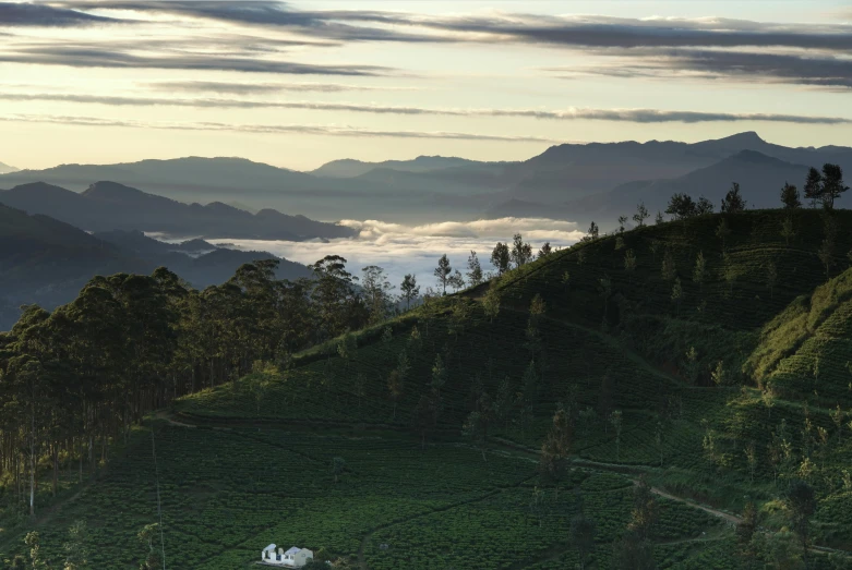 this is a very beautiful landscape with some grass in the foreground