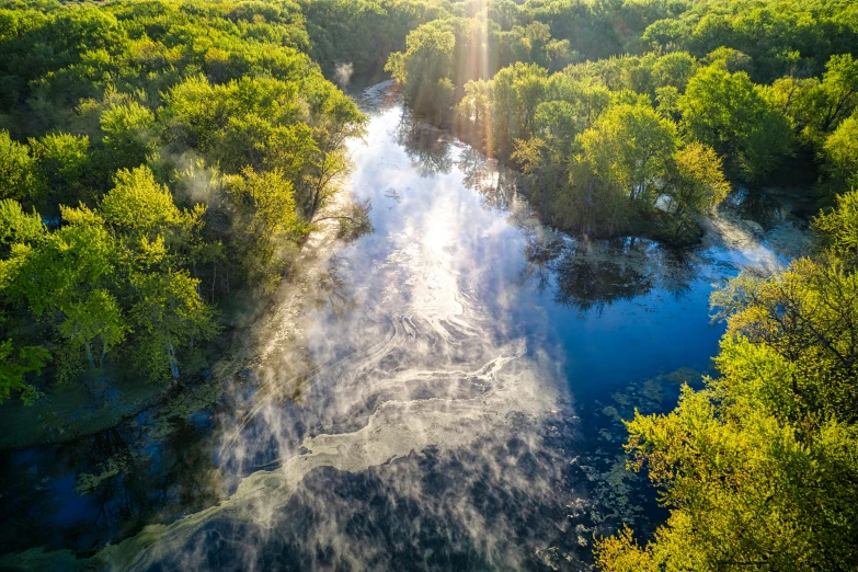 a river is surrounded by trees and sunlight