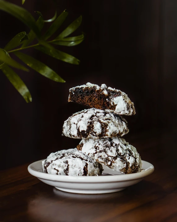 chocolate cookies stacked up on a white plate