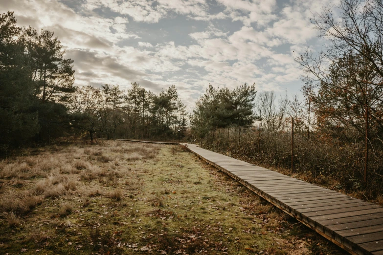 there is an empty wooden walkway going through a field