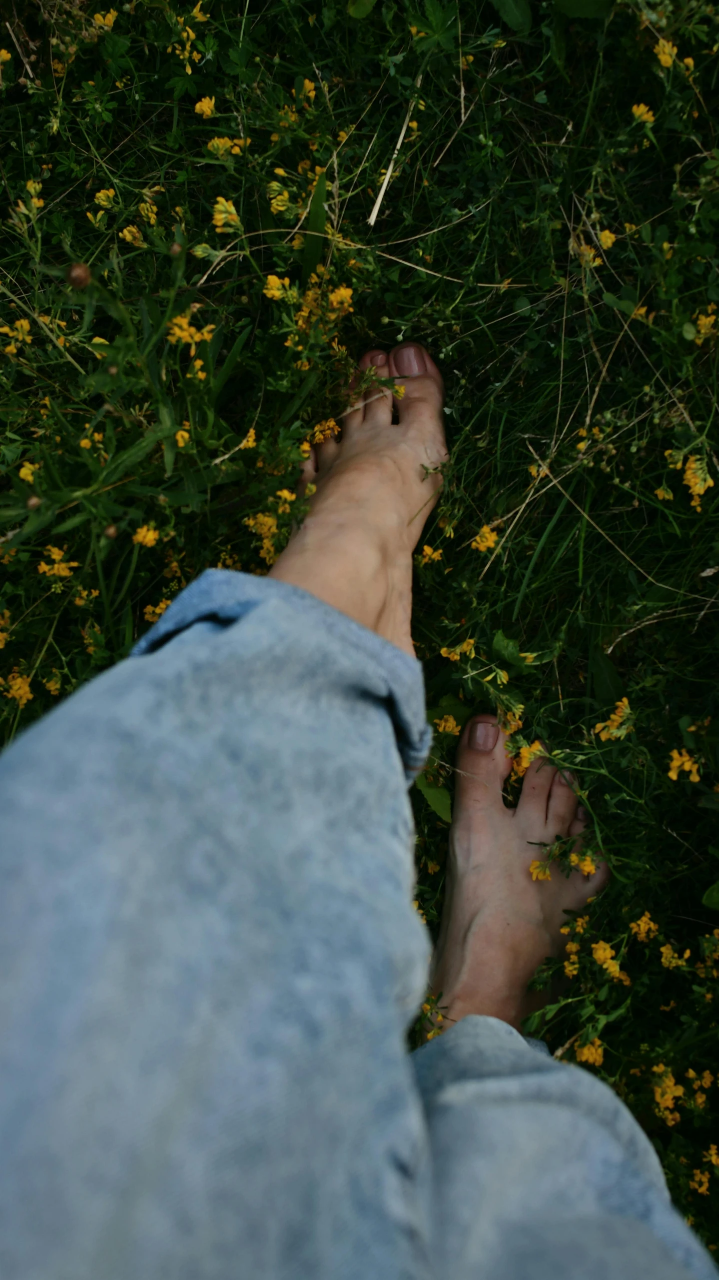 a person standing on top of a lush green field