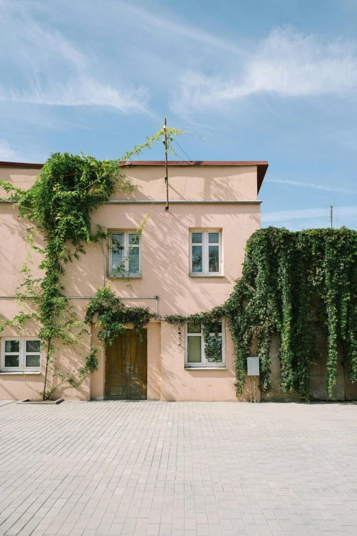 a beige building that has vines on the front