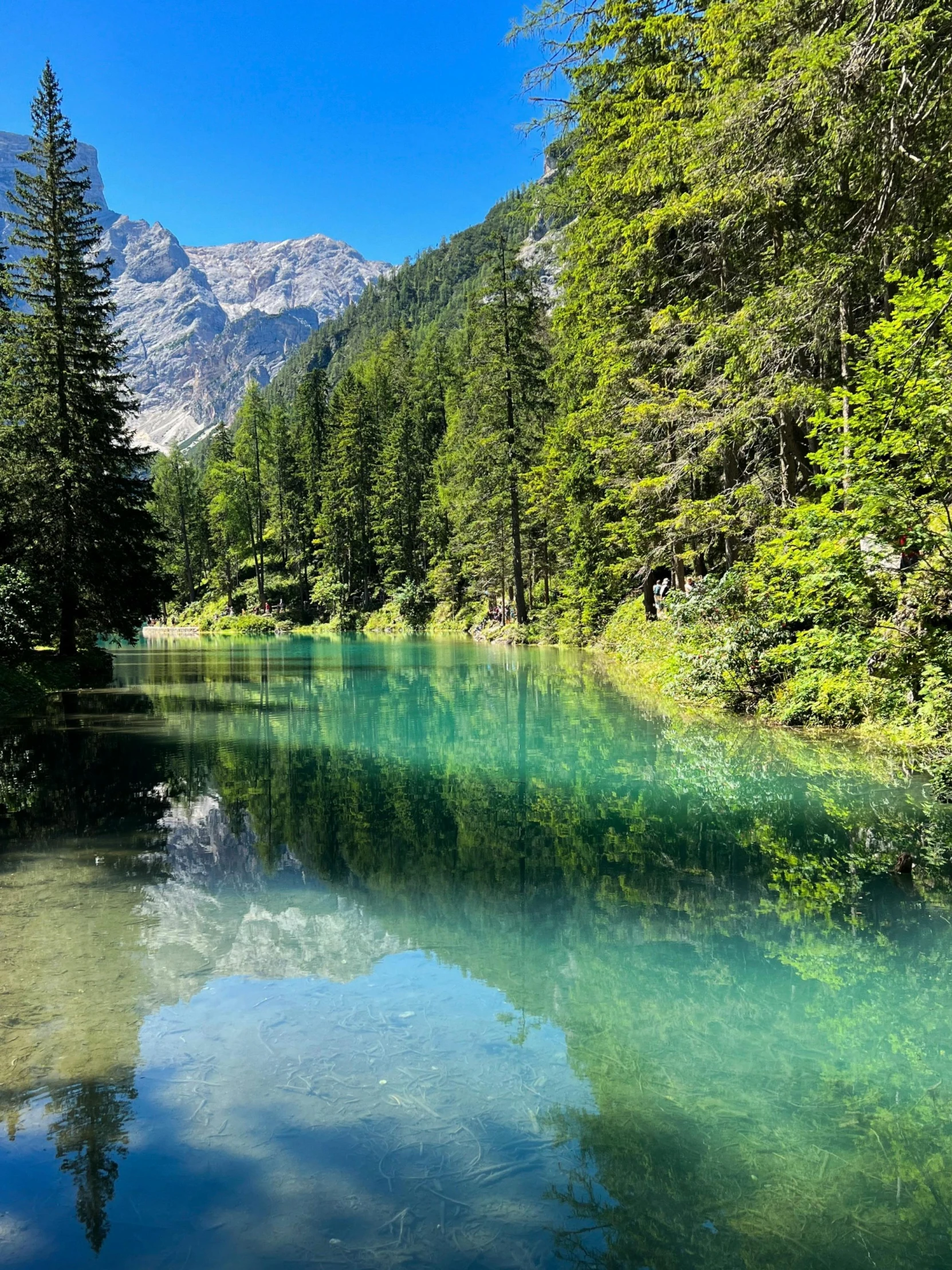 the view down a river with clear waters and trees