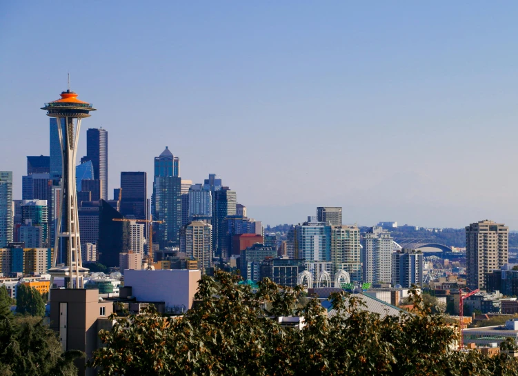 the space needle at the base of the seattle skyline