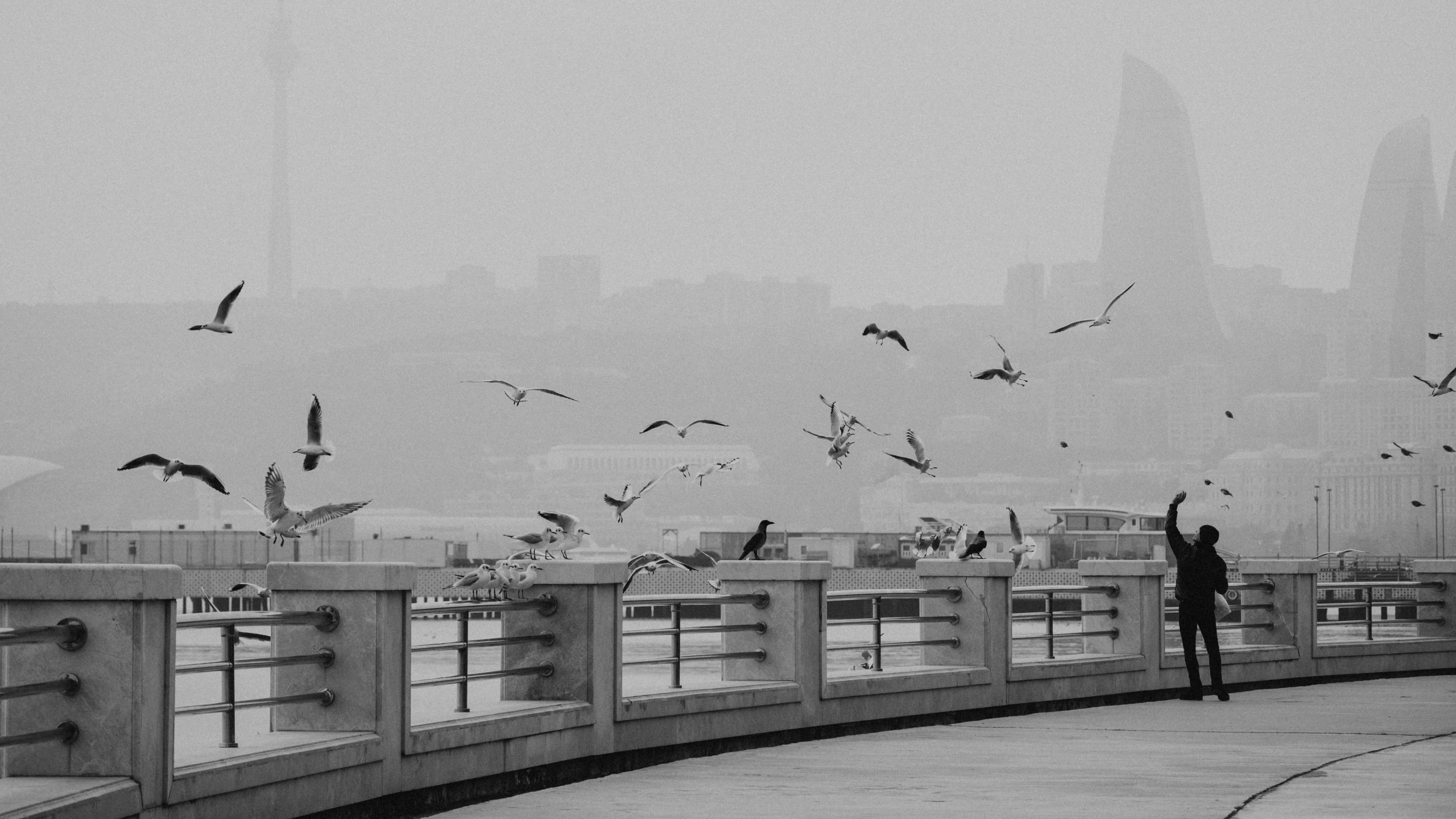 some birds flying over a bridge and the guy is standing on the sidewalk