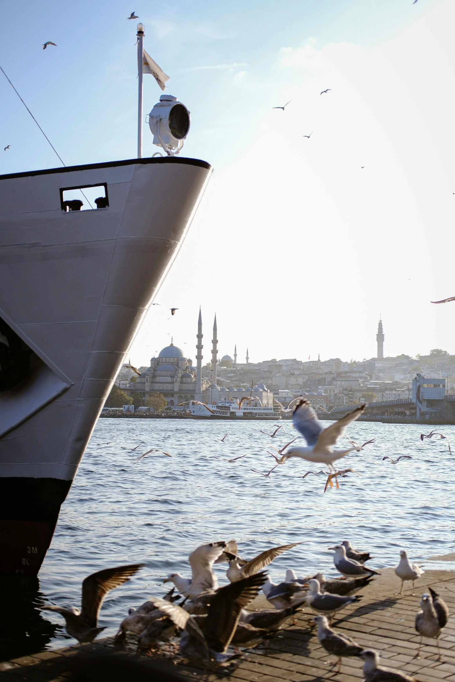 a boat near a body of water with birds around it