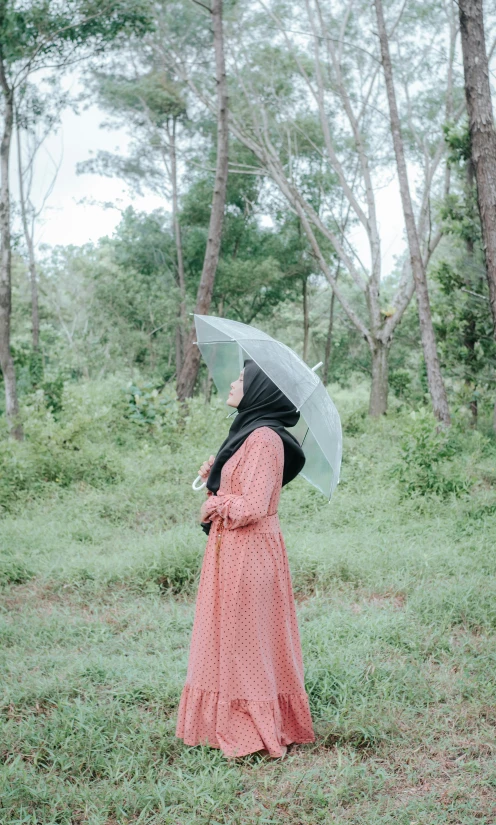 the back view of a lady holding an umbrella