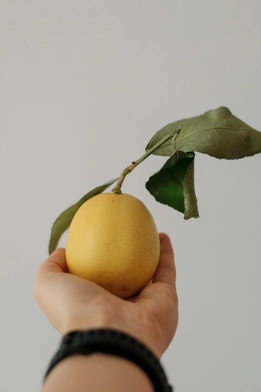 a close - up of a person holding a fruit