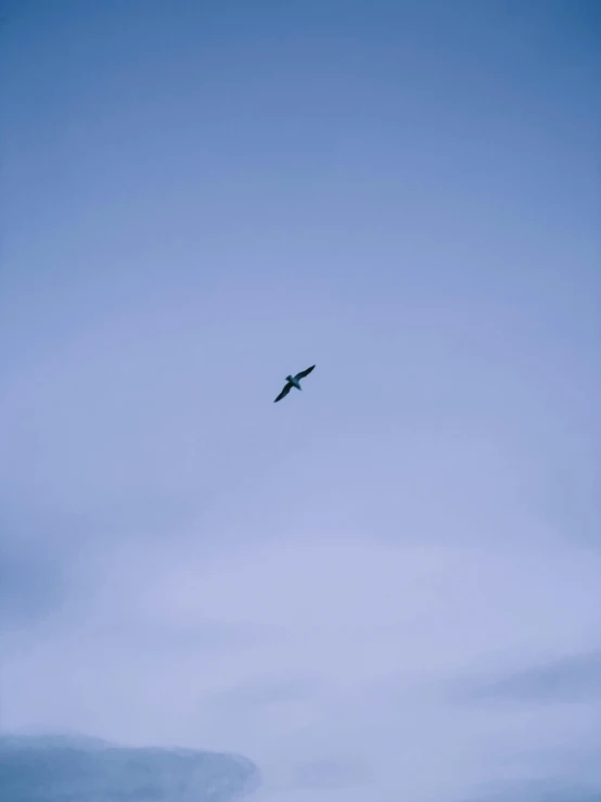 an airplane is flying high in the blue sky