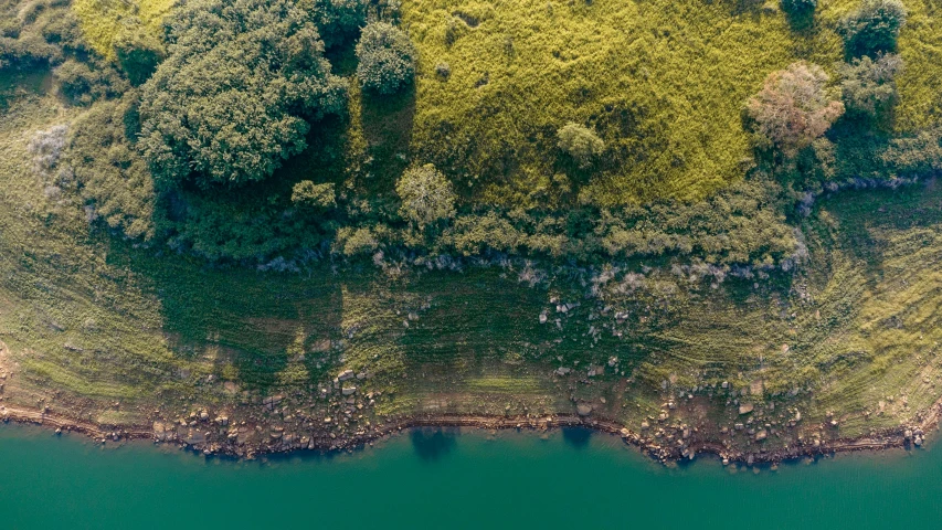 an aerial view shows green land and a body of water