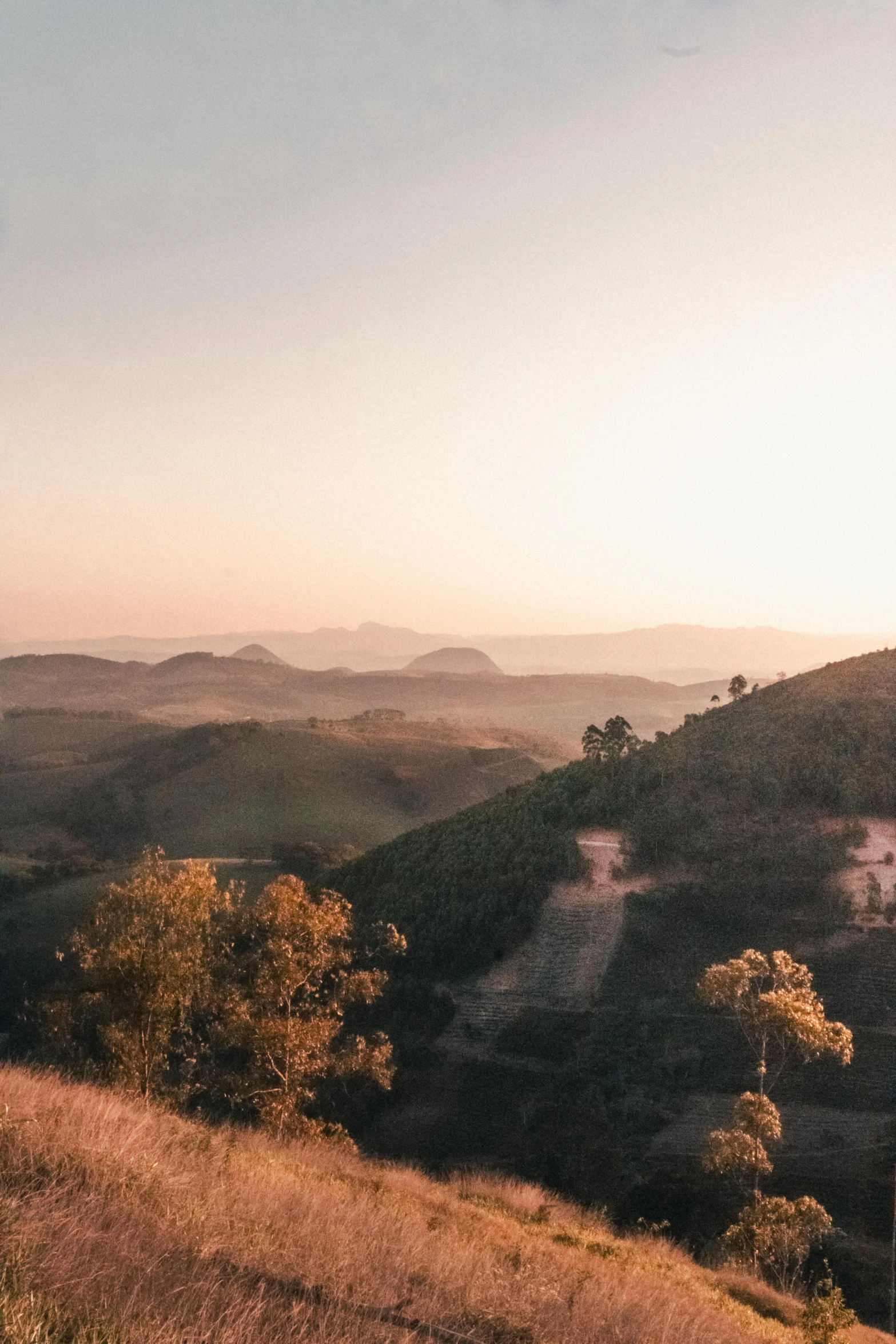 a view over the countryside as a bird flies overhead