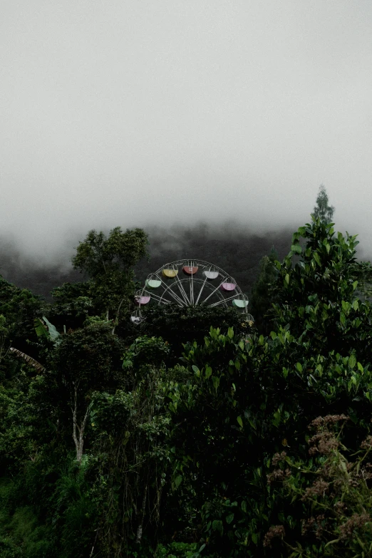 a ferris wheel that is sitting in the middle of the woods