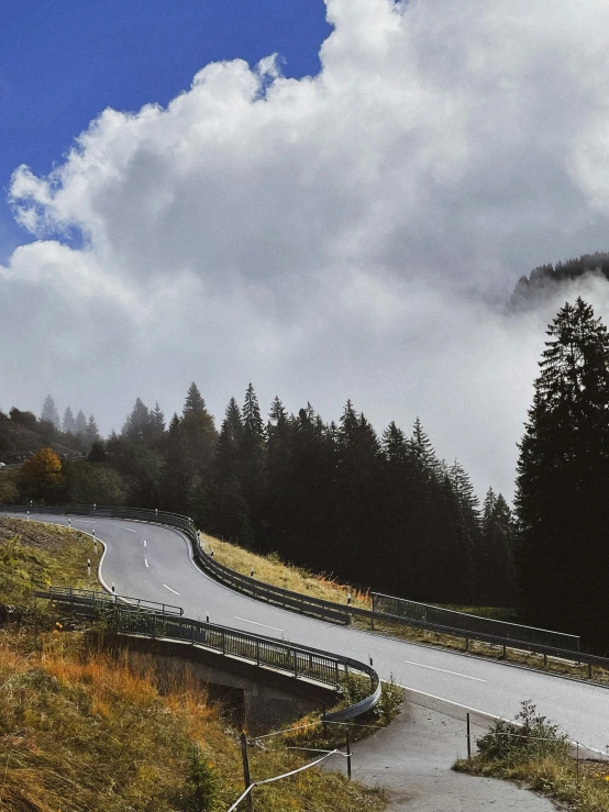 an artistic view of an winding road and trees