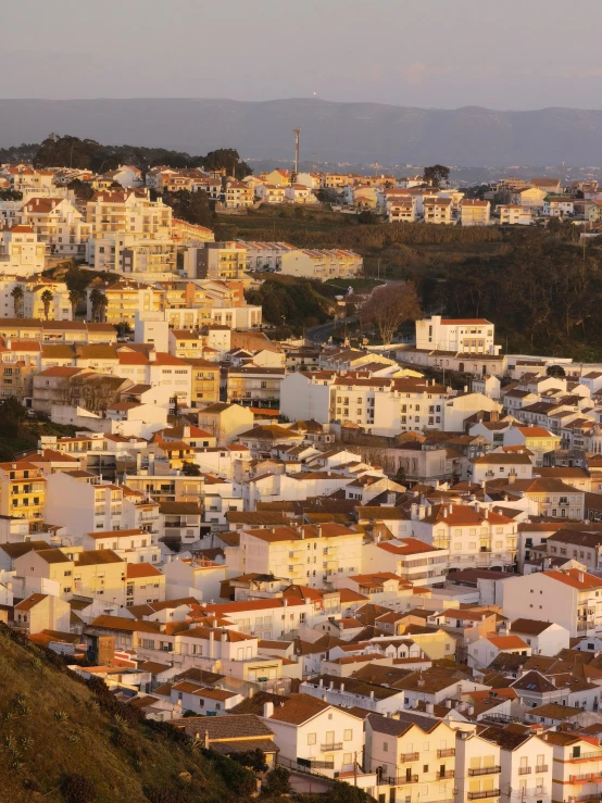 an image of the back of a hill of houses in san francisco