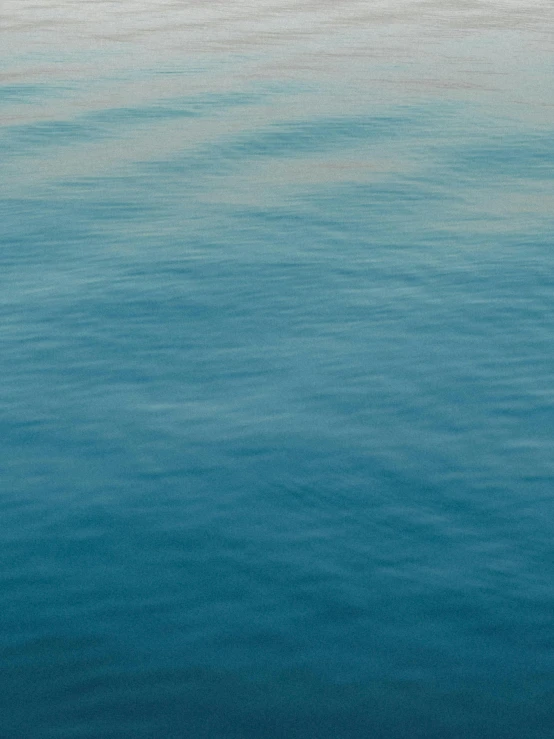 two surfers standing in the middle of a body of water