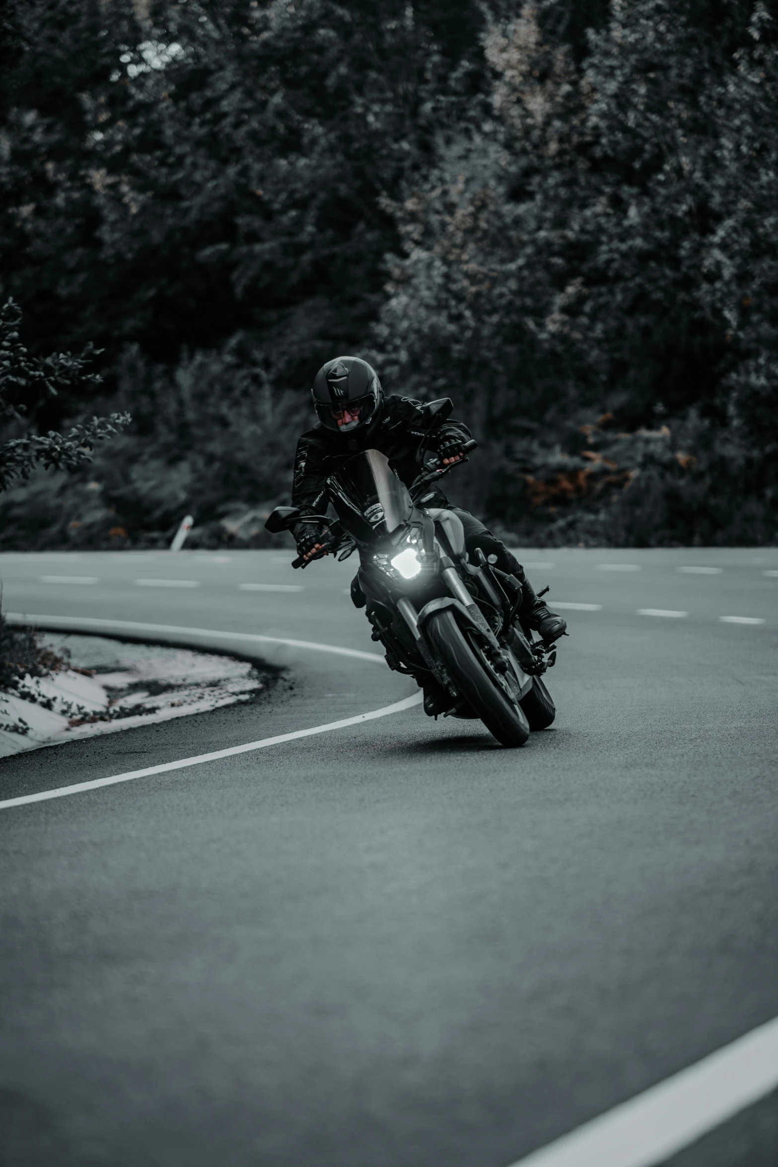 a motorcyclist riding on a winding road in a wooded area