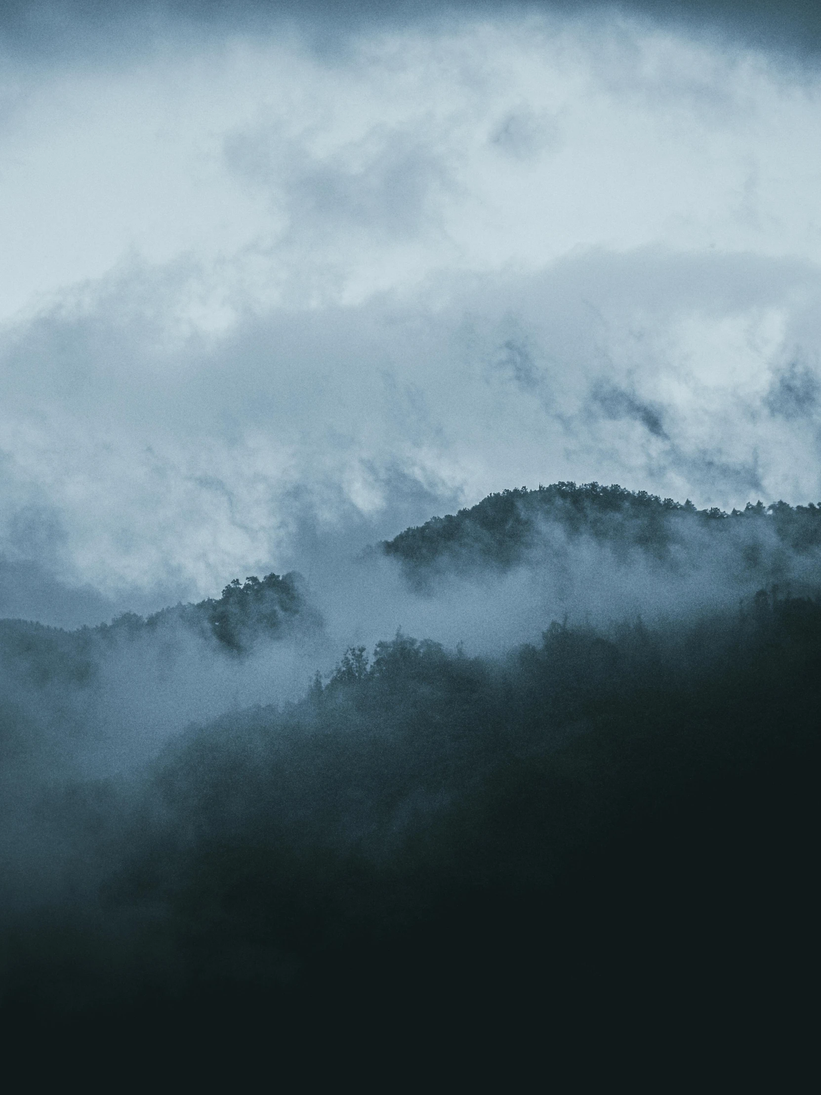 the fog is covering the mountains near the trees