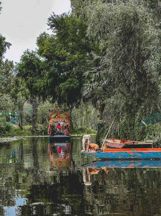 a view of a boat and trees from across the river