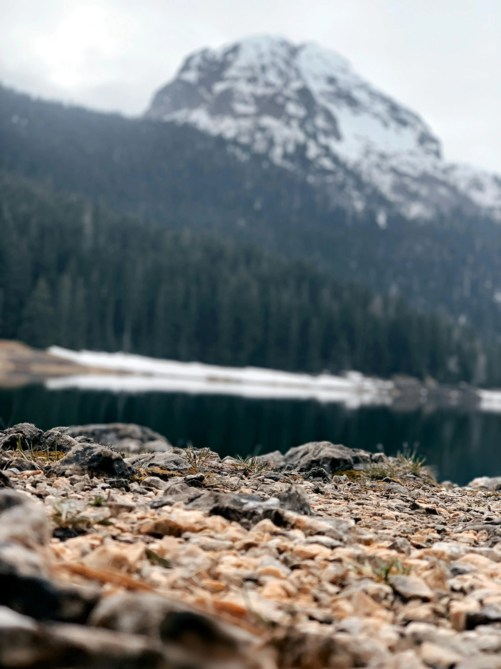 a bird is standing on rocks and rocks near a lake