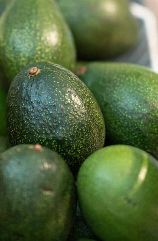 a bunch of green avocados laying on top of each other