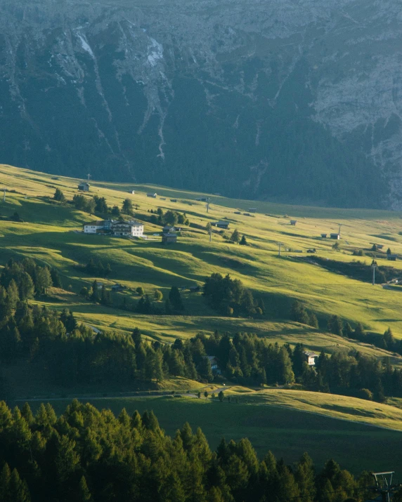 the trees on the mountains are green in color