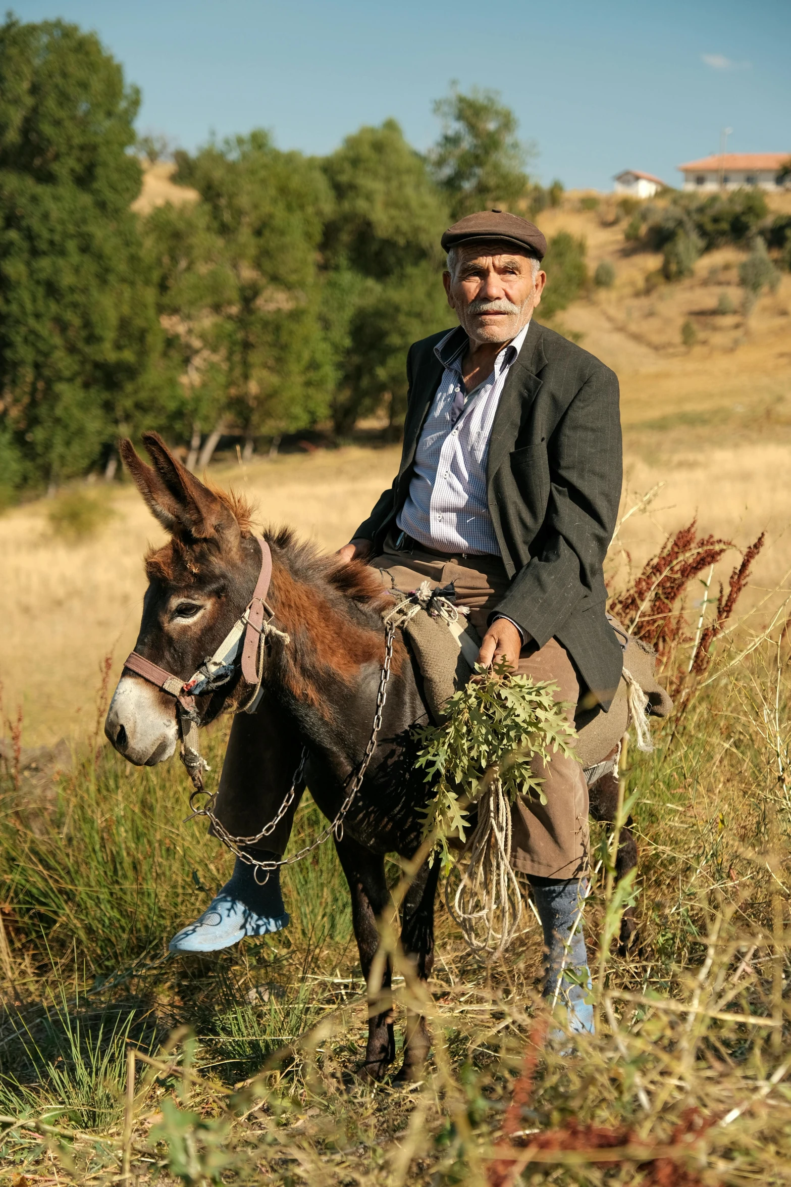 a man is riding a donkey in a grassy field