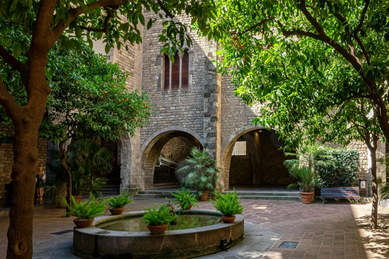 a courtyard has a fountain near some trees