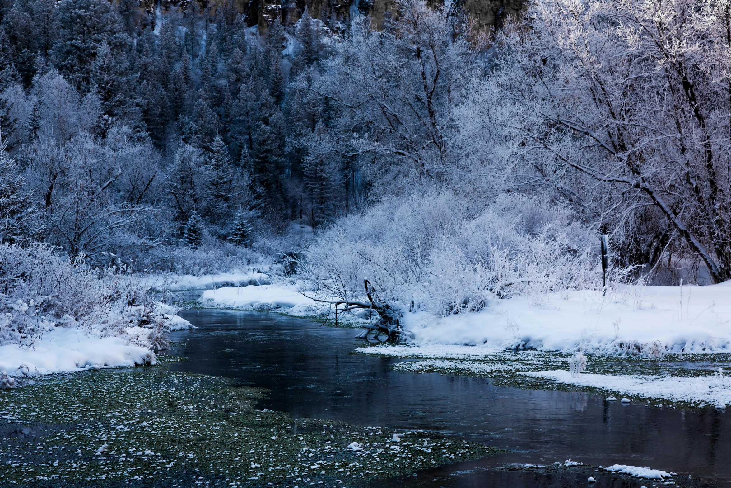 an image of winter scene of a stream