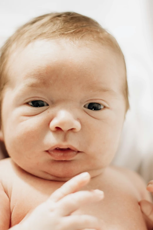 a baby is looking intently at the camera