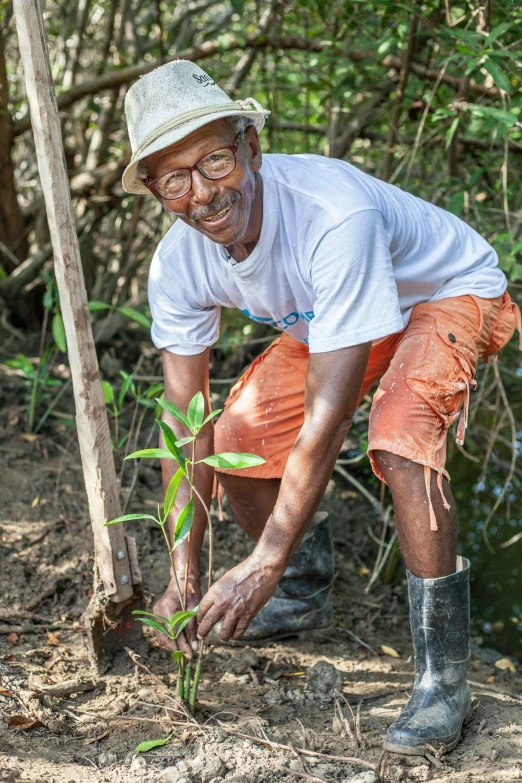 a man squatting down next to a plant and touching it