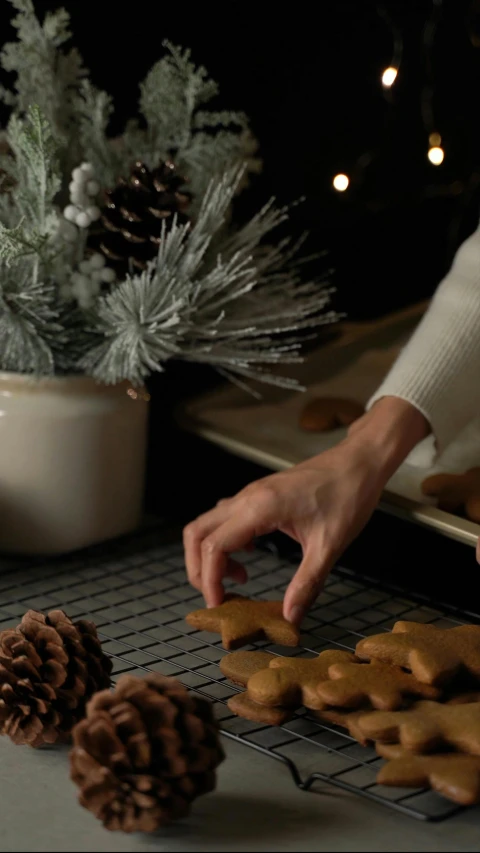 a person that is decorating some cookies