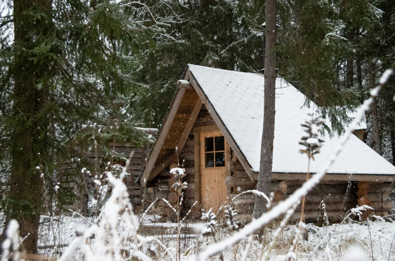 a cabin sitting in a snowy forest with trees