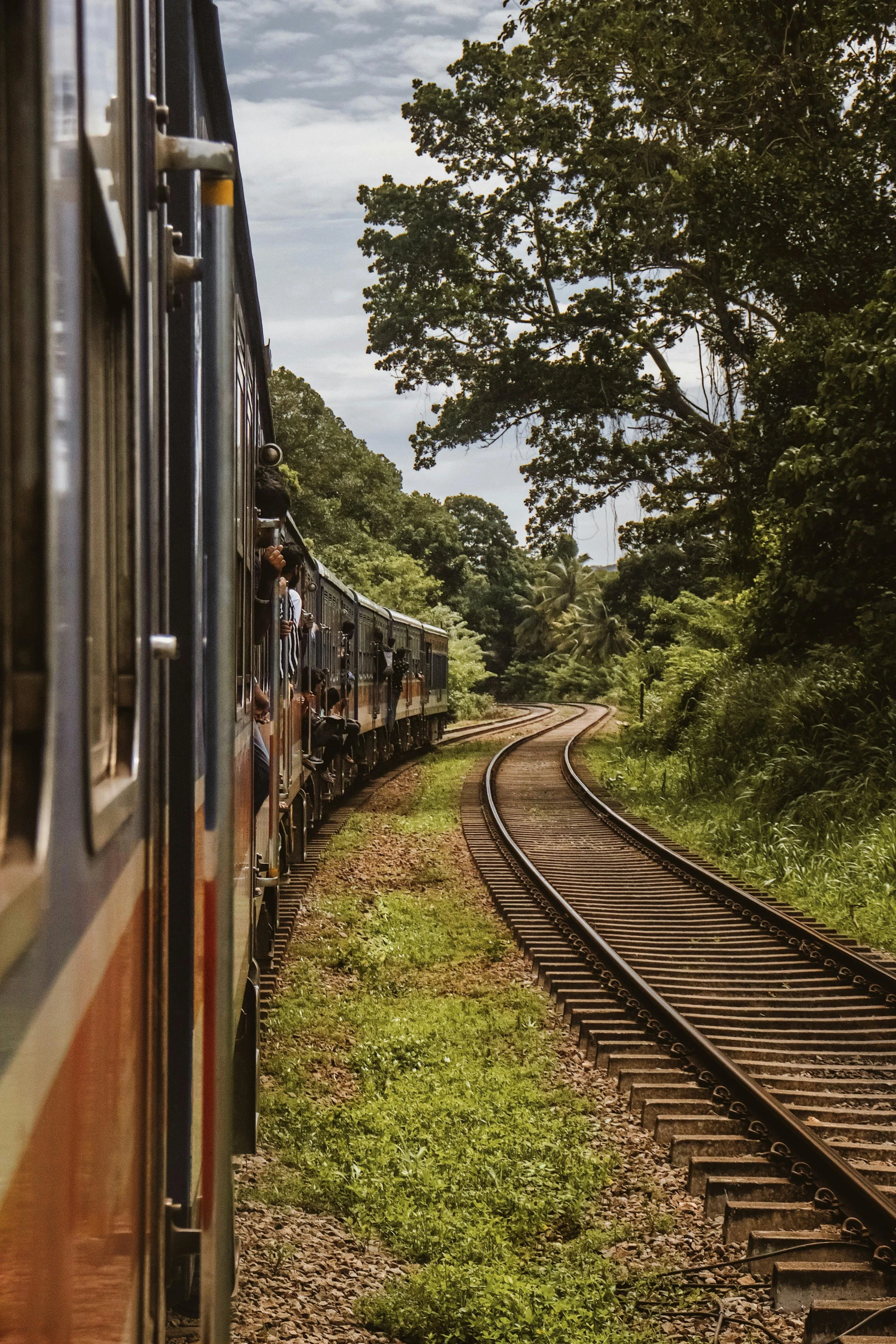 a train is travelling along tracks in the woods